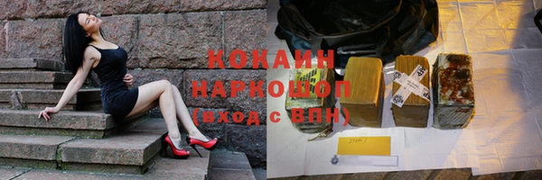 дживик Богданович