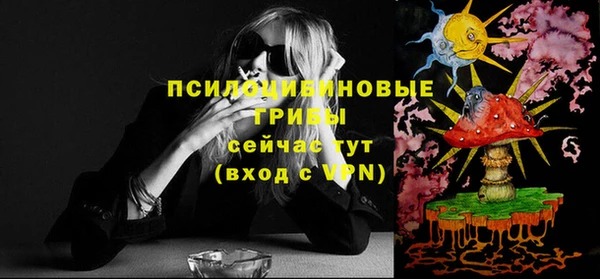 дживик Богданович