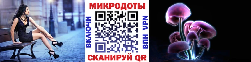 Псилоцибиновые грибы Cubensis  Судак 